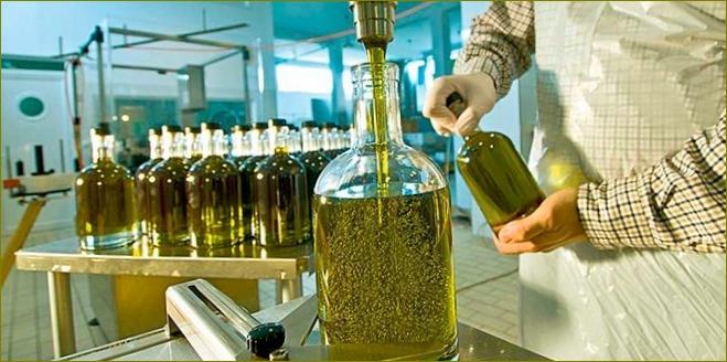 Proizvodnja maslinovog ulja