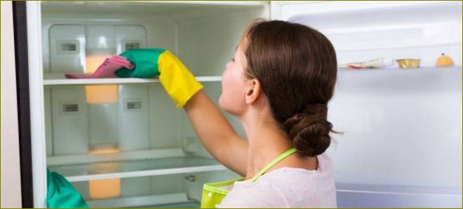 Kako pravilno i brzo odmrznuti hladnjak?