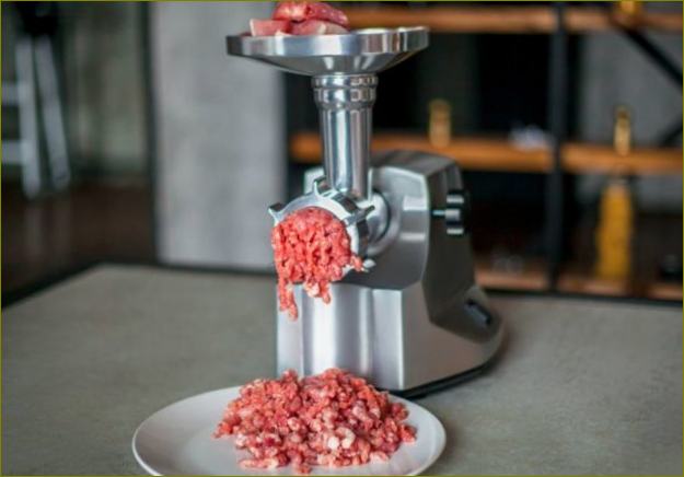 Kako odabrati električnu brusilicu za meso za dom: recenzije, Top 10 modela
