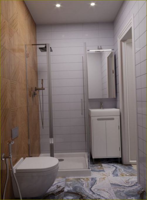 Fotografija 15: dizajn kupaonice s tušem: 30 modernih opcija