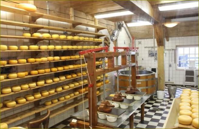 poslovni plan tvornice sira