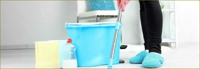 Najbolja sredstva za čišćenje poda: kako pravilno očistiti podove