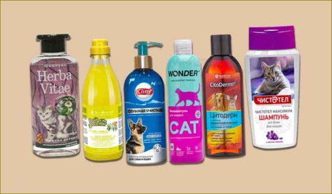 Najbolji šamponi za mačke