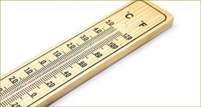 Top 5 elektronički vanjski termometri s daljinskim senzorom