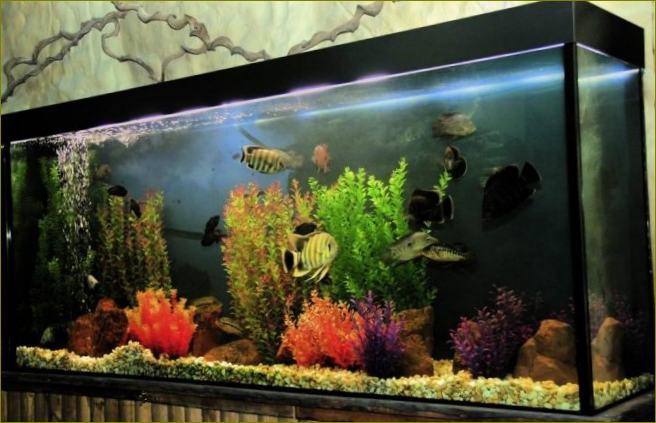 Slatkovodni akvariji U Zagrebu