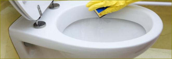 Top 10 najboljih proizvoda za čišćenje toaleta