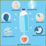 prednosti vode za tijelo