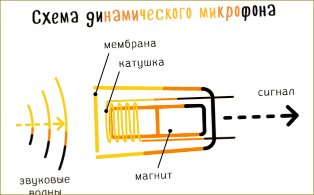 Dijagram standardnog dinamičkog mikrofona