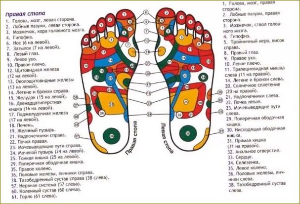 Top 33 najbolja masažera za stopala u 2022