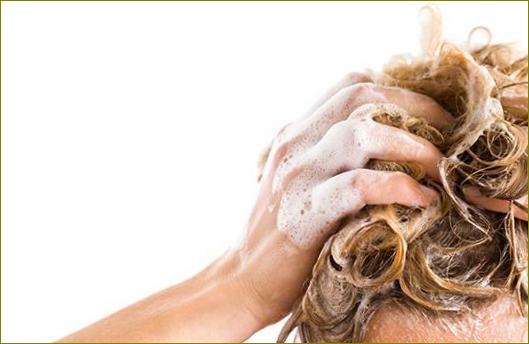 profesionalni šampon za obojenu kosu